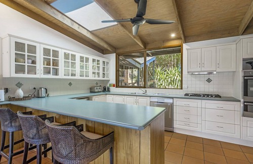 Port Macquarie House | Koalas at Links Lighthouse Beach