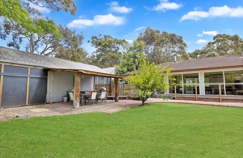 Raymond Island House | Koalas Songs - Watch Koalas and Roos right from your backyard