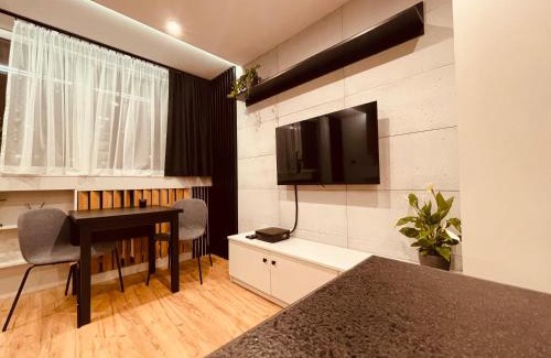 Katowice Apartment | KOBIELA APARTMENTS - Park Śląski