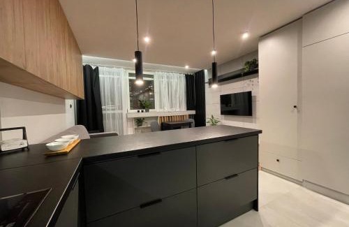 Katowice Apartment | KOBIELA APARTMENTS - Park Śląski