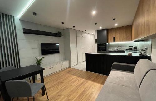 Katowice Apartment | KOBIELA APARTMENTS - Park Śląski
