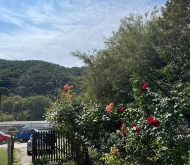 Kursumlija Apartment | Kobran