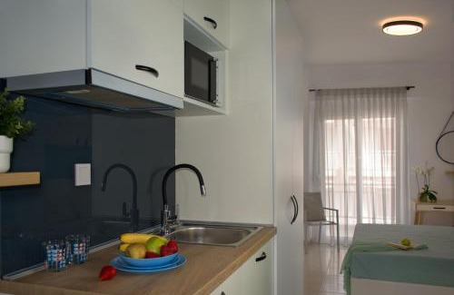 Nea Playia Apartment | Kochyli Beach Studios