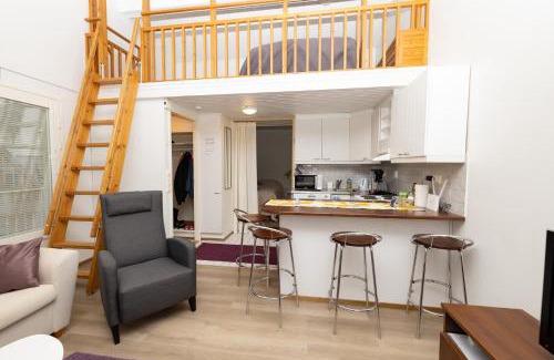 Vuokatti Apartment | Koivukuja Apartment