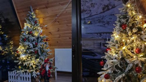 Kazbegi Ski Chalet | Kokhta Cottage Kazbegi