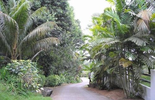 Anse Royale Ski Chalet | Kokogrove Chalets