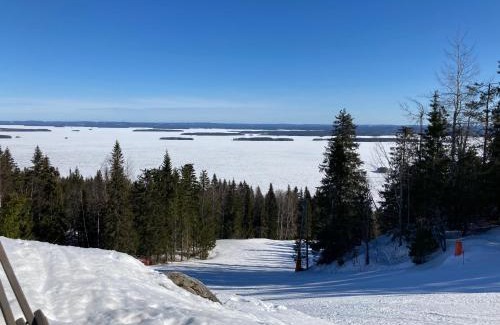 Koli National Park Apartment | Koli country club basic 6