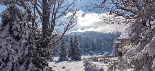 Konjska Reka Ski Chalet | Koliba Vuk