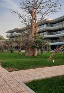 Senegambia Apartment | Kololi Sands Oasis Gambia