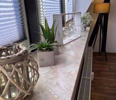 Plauen Apartment | komfortable Ferienwohnung am Stadtwald von Plauen