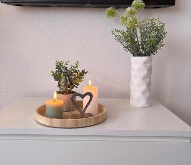Plauen Apartment | komfortable Ferienwohnung am Stadtwald von Plauen