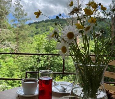 Dilijan Hotel | Kompozitor Hotel Dilijan