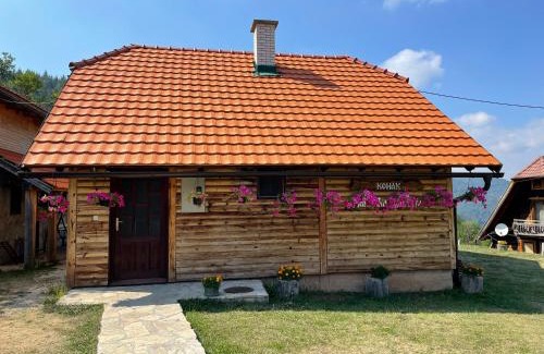 Bajina Basta House | Konak Mandica avlija