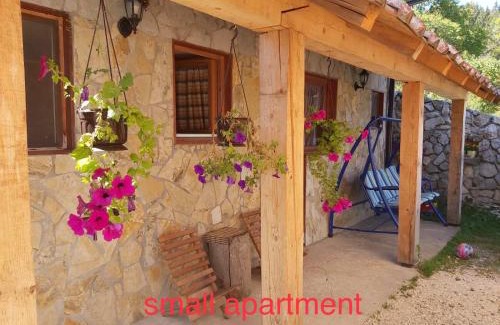 Bajina Basta House | Konak Mandica avlija