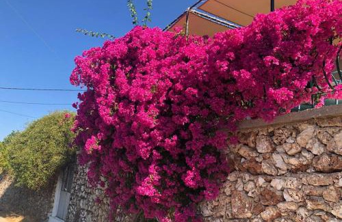 Aetos House | Konstantinas House, a touch of nature & sea