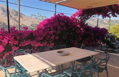 Aetos House | Konstantinas House, a touch of nature & sea