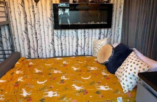 Central Kootenay House | Kootenay Lk & Mtn Views- Private Beach-Tiny Homes-Pet friendly- Sleeps 2-4