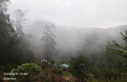 Ohiya House | Korean motel