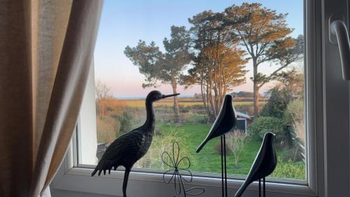 Groix House | Korrigane