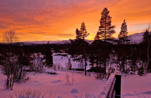 Bykle House | Koselig fjellhytte med utsikt
