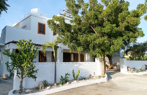 Treasure Beach Apartment | Kotch Two Bedroom Sea Suite