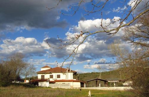 Paionia House | Kotza Ntere