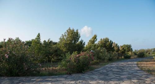 Vigla Apartment | Kouremenos Beach House West