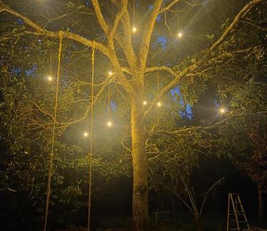 Eramalloor Apartment | Kowdi Farm House