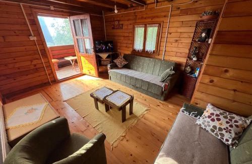 Mionica House | Kraljeva breza