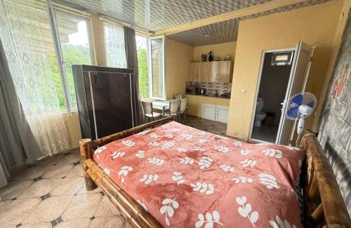 Tsikhisdziri House | Kristina Hotel