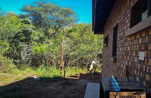 Marloth Park House | Krokodil Rus