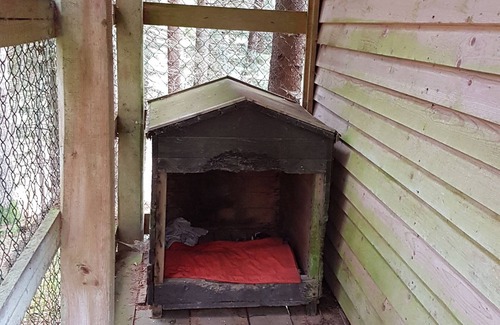 Krpacovo Cottage | Krpacovo, Low Tatras - house on the forest