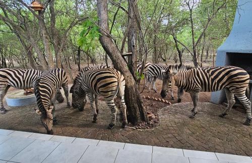 Marloth Park Villa | Kruger Amani Bush Retreat