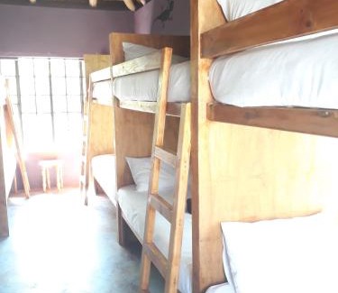 Marloth Park Bed & Breakfast | Kruger Dreams Lodge