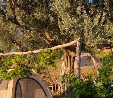 Kruje Other | Kruje Camping