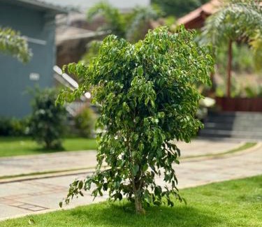 Ramanagara House | KS Valley
