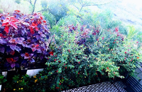 Malavli House | KshiyOO Holiday Bungalow Resort