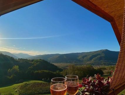 Bajina Basta House | Kuća za odmor Andrea