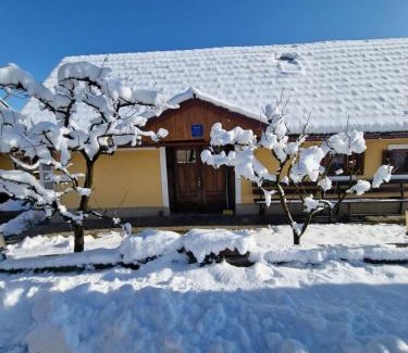 Ozalj House | Kuća za odmor Vuketich hills