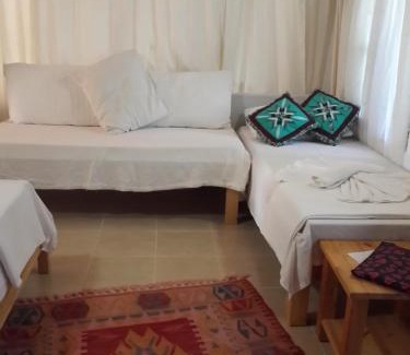 Cirali Bed & Breakfast | KUŞ YUVASI PANSiYON