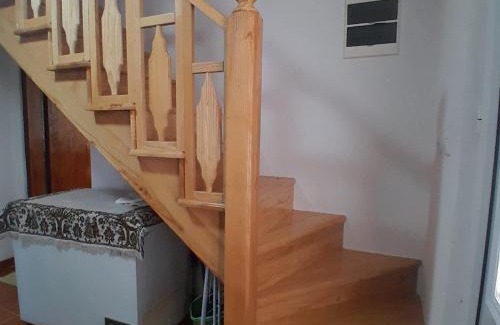 Boljevac House | Kuca