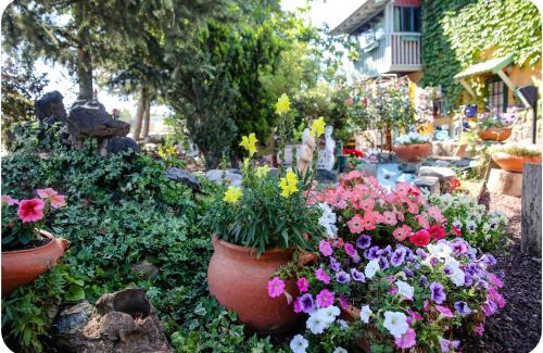 Sha'al House | Kucha in the Village