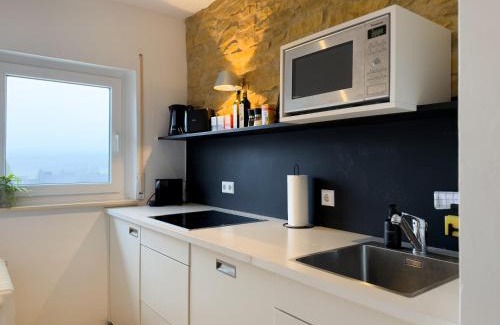 Lenzkirch Apartment | Kuckucksnest mit Sonnenbalkon am Wald mit Grillplatz