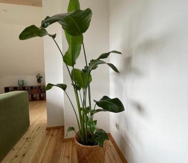 Weimar Apartment | Kulturgenuss am Goethewanderweg