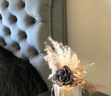 Palanga Apartment | Kunni 2.0