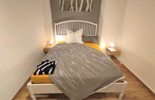 Meissen Apartment | Kunstvoll - individuelle 4-Zimmer Ferienwohnung mit Balkon in Meißen