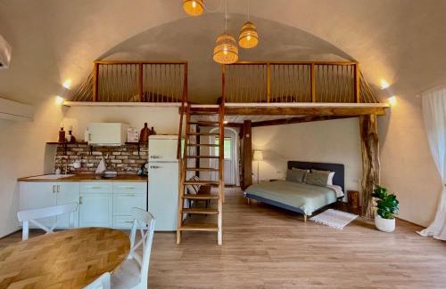 Kaunas County House | Kupolinis namelis