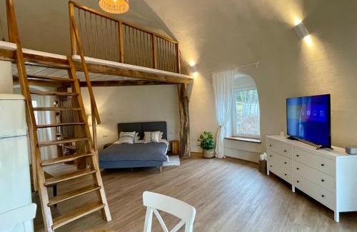 Kaunas County House | Kupolinis namelis