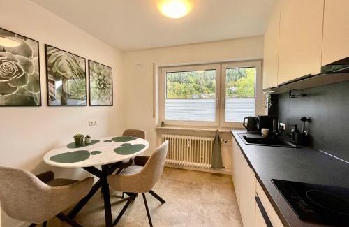 Bad Wildbad Apartment | Kurpark Apartment, Schwimmbad, Sauna, Terrasse