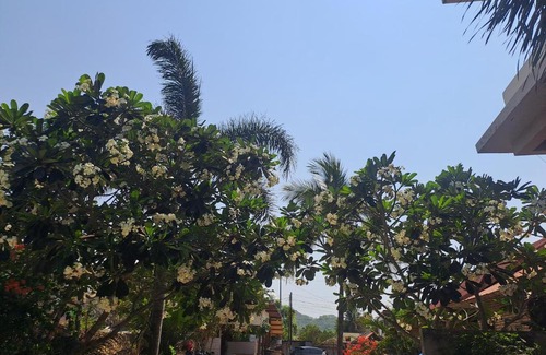 Kuta Bed & Breakfast | Kutabay Homestay